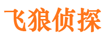 青山湖飞狼私家侦探公司